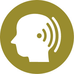 Tinnitus Icon